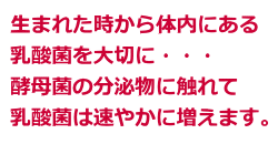 �����|�C���g